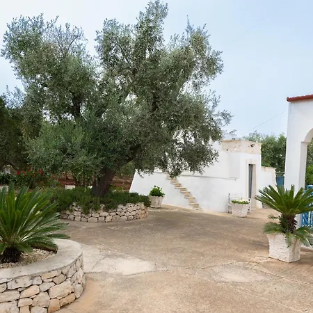 And Trullo Septis *